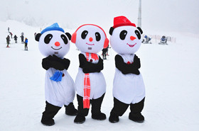 2012 （四川·成都）西岭雪山第13届南国国际冰雪节